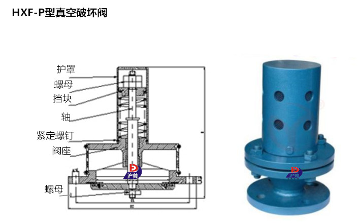 HXF-P真空破壞泄壓閥結構圖